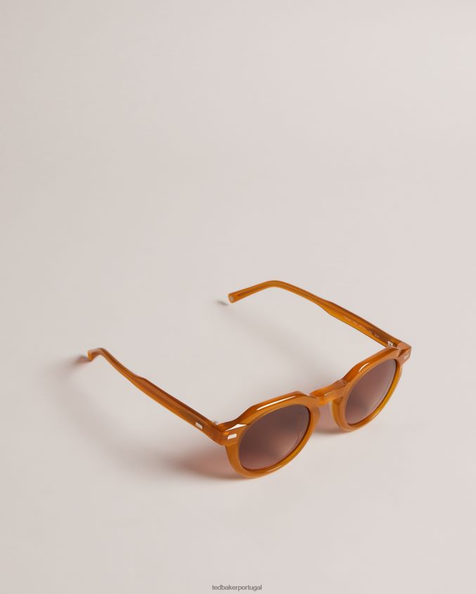 acessórios Ted Baker honiee óculos de sol redondos de topo plano mel homens 8X6HDF1937