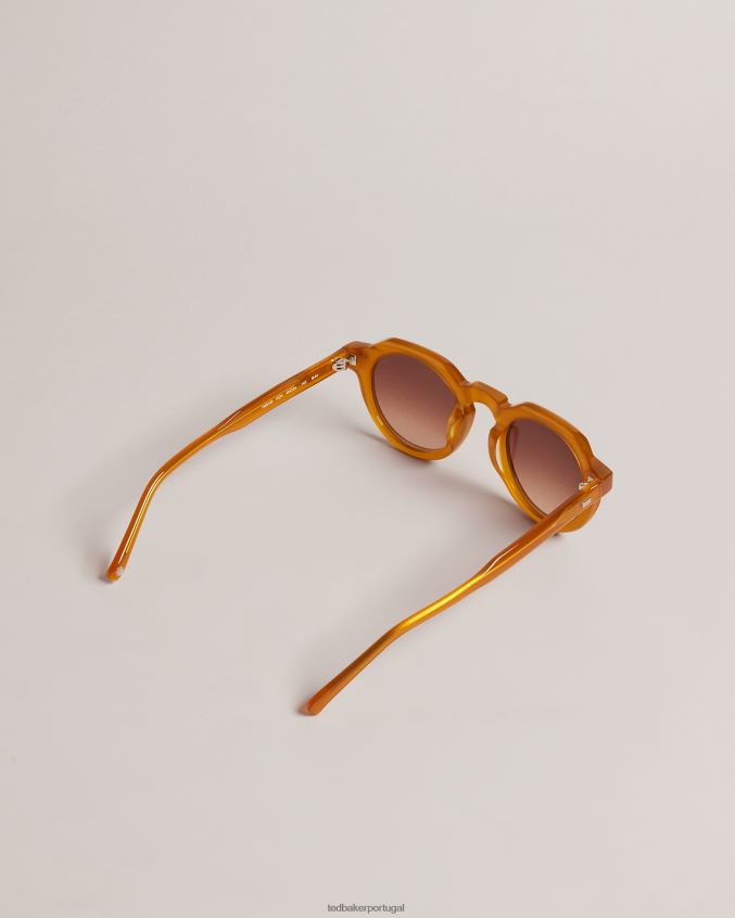 acessórios Ted Baker honiee óculos de sol redondos de topo plano mel homens 8X6HDF1937