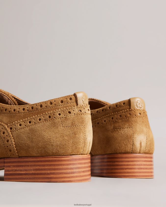 sapato Ted Baker sapato ammais formal camurça brogue bronzeado homens 8X6HDF1849